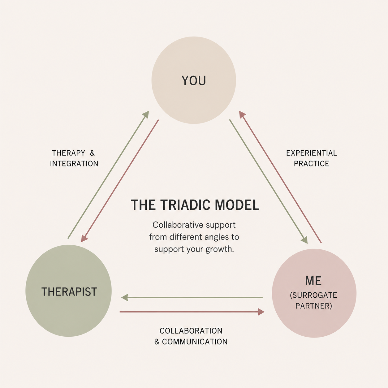 Triadic model diagram for surrogate partner therapy